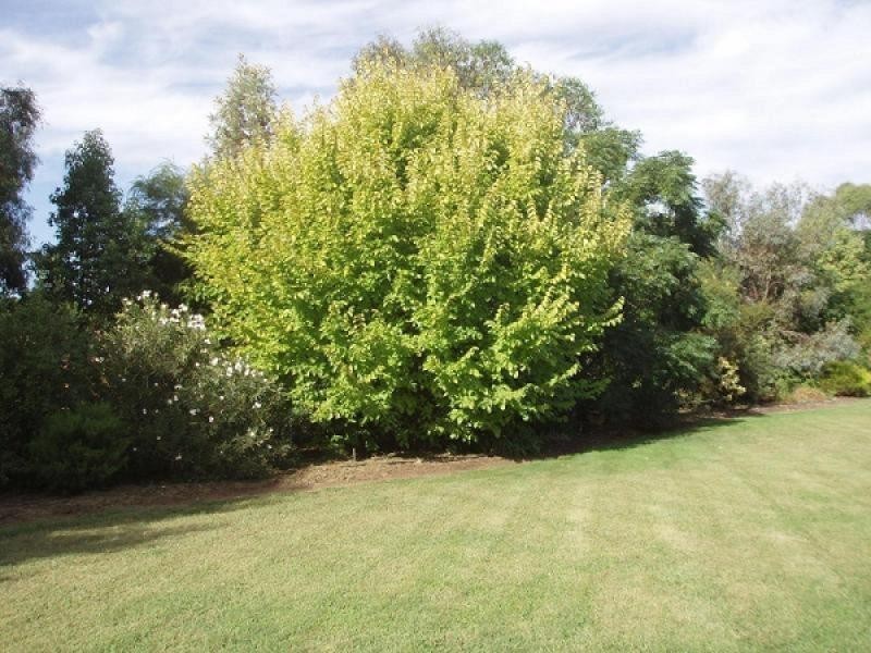 1 CHARTERS DRIVE, Moama NSW 2731