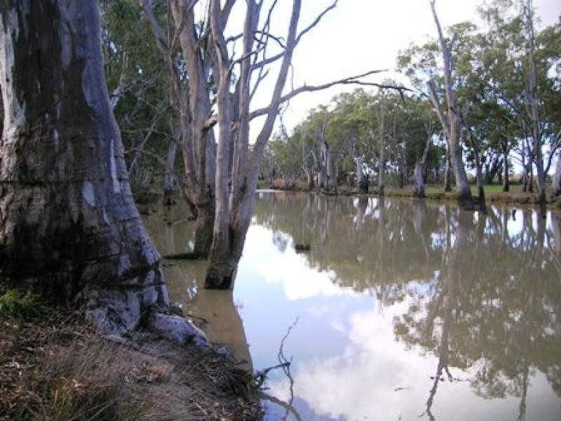 Barmah VIC 3639