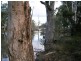 Barmah VIC 3639