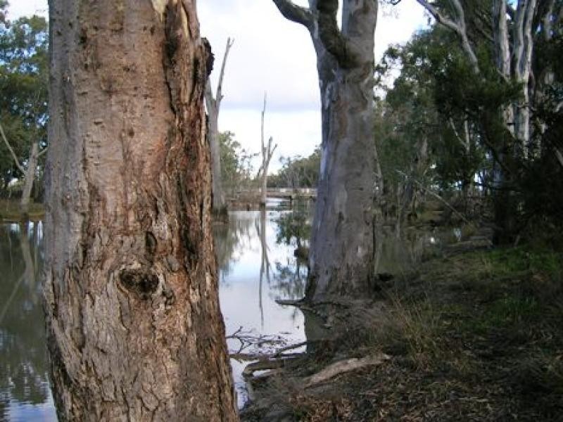 Barmah VIC 3639