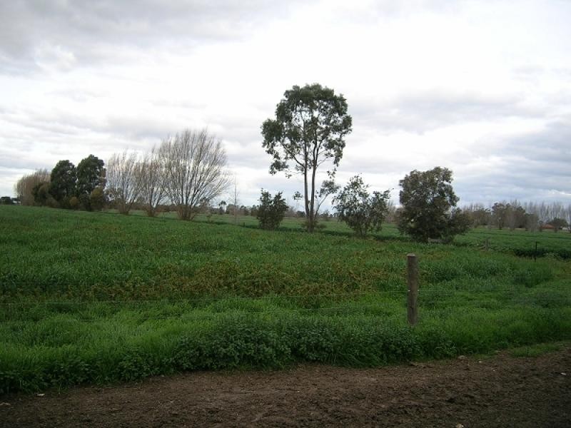 1240 Singer Road, Lockington VIC 3563