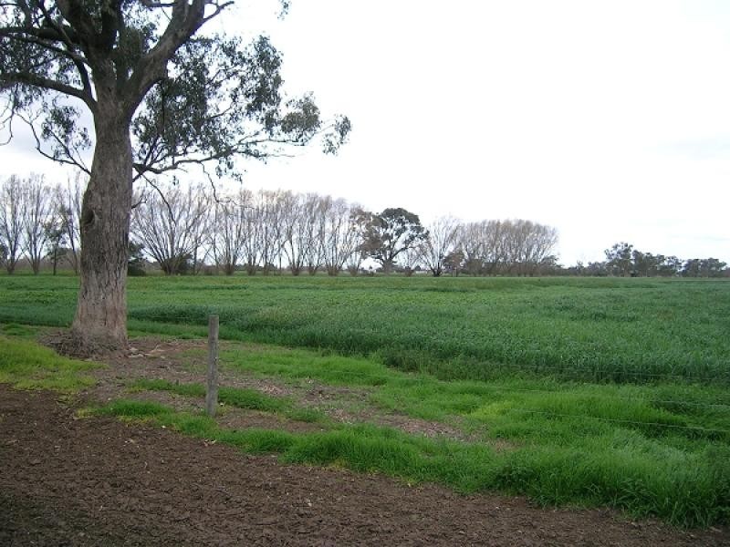 1240 Singer Road, Lockington VIC 3563