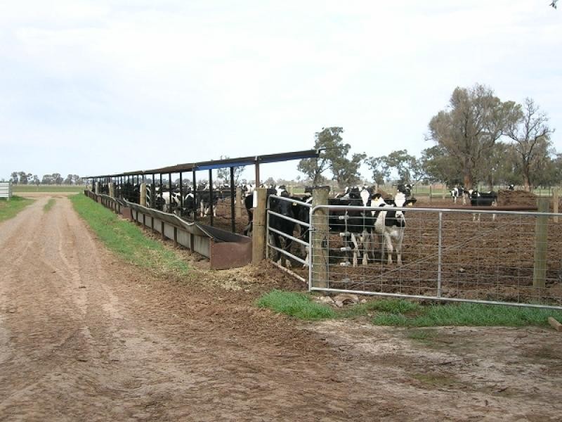 2 Middleton Road, Lockington VIC 3563