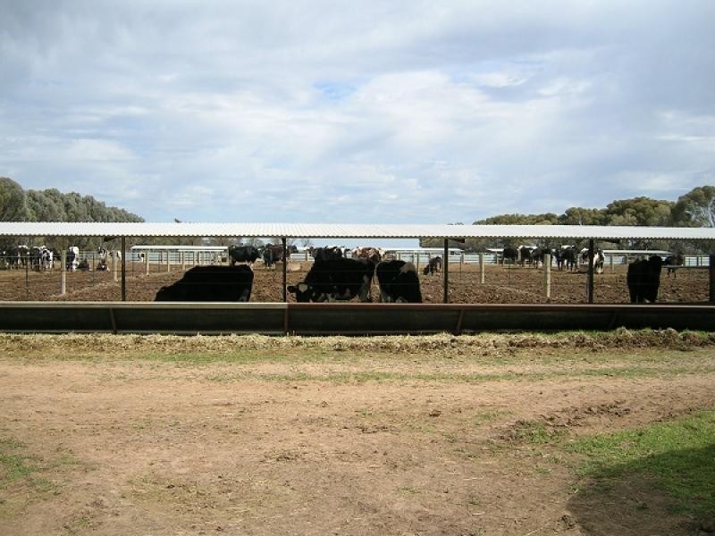 2 Middleton Road, Lockington VIC 3563