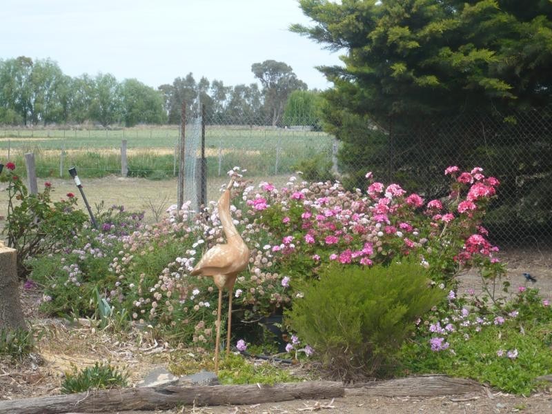 404 Mitchell Road, Echuca VIC 3564