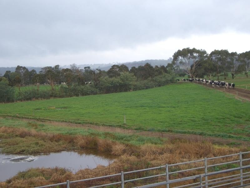 270 North Yannathan Road, Modella VIC 3816
