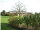 249 Panoo Road, Lockington VIC 3563