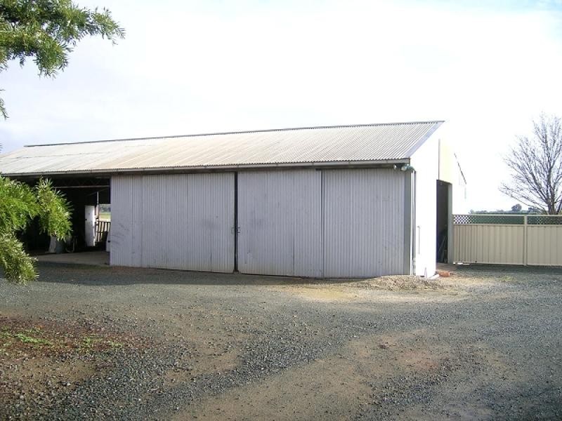 249 Panoo Road, Lockington VIC 3563
