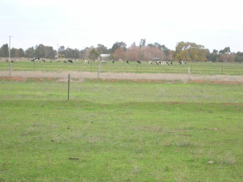249 Panoo Road, Lockington VIC 3563