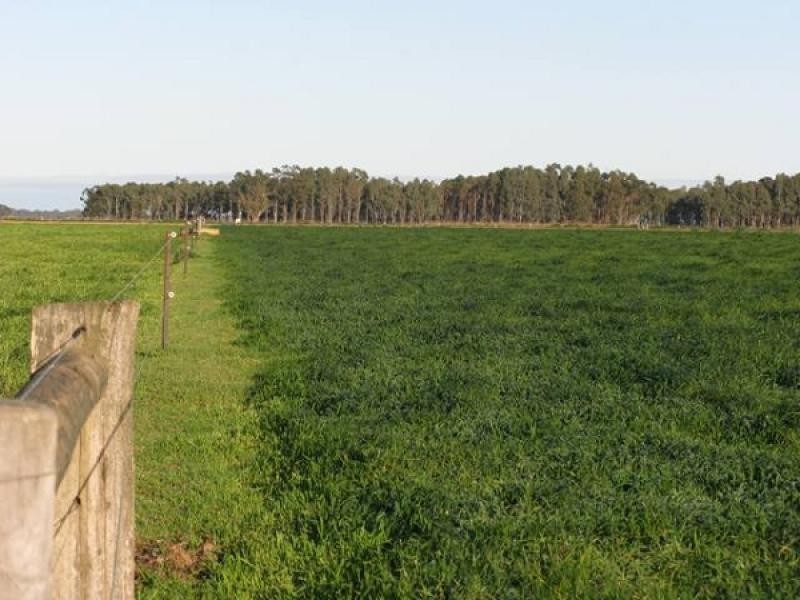 1404 Watson Road, Tongala VIC 3621