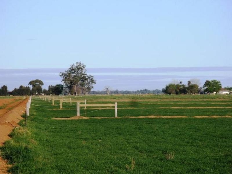 1404 Watson Road, Tongala VIC 3621