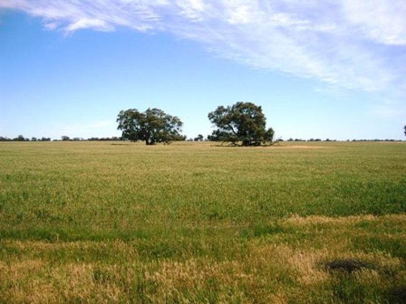 RMB 2450, PERRICOOTA ROAD, Moama NSW 2731