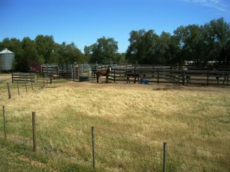 RMB 2450, PERRICOOTA ROAD, Moama NSW 2731