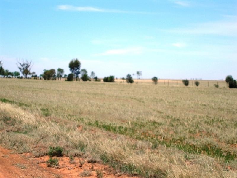 1112 Smith Road, Terrick Terrick East VIC 3573