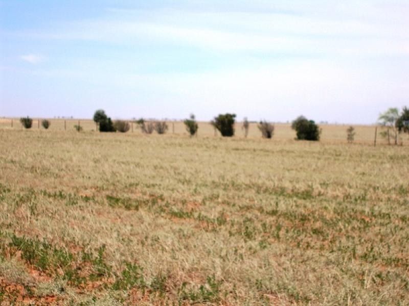 1112 Smith Road, Terrick Terrick East VIC 3573