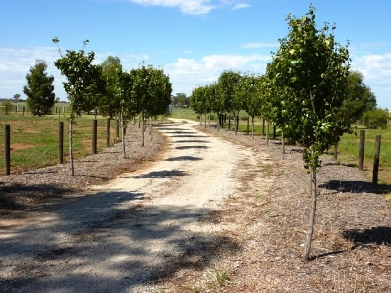 216 TANDARRA LANE, Moama NSW 2731