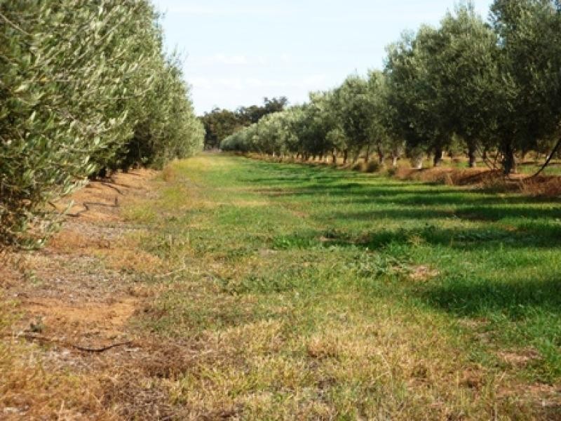 231 Farley Road, Echuca VIC 3564