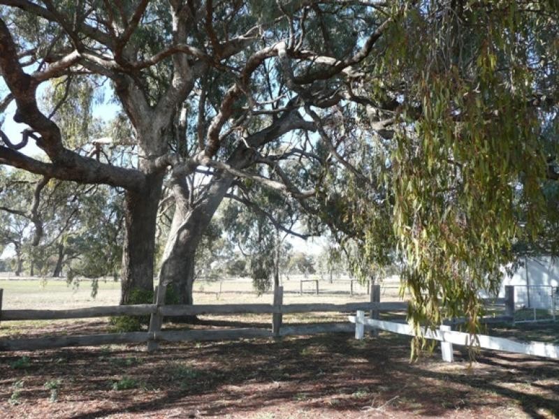 1-5 Murray Street, Barmah VIC 3639