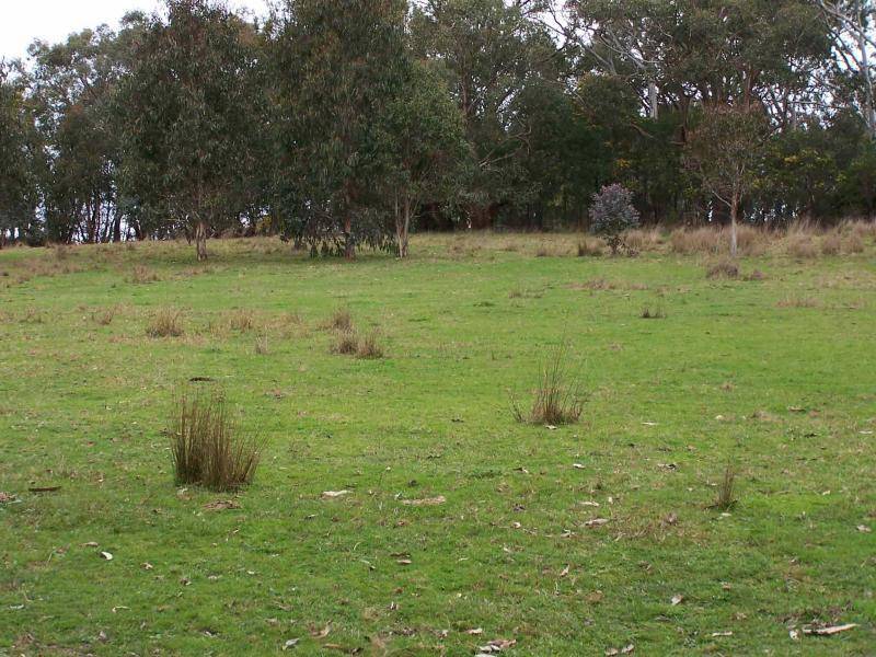 Strathbogie VIC 3666