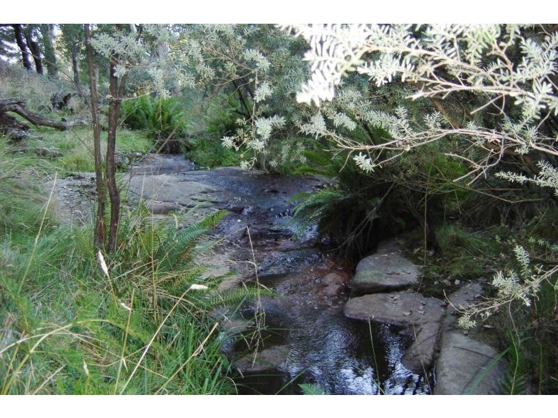 490 carpenters lane, Strathbogie VIC 3666