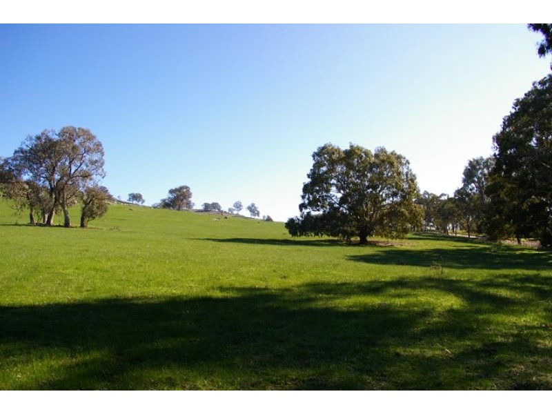 1415 faithfulls creek road, Sheans Creek VIC 3666