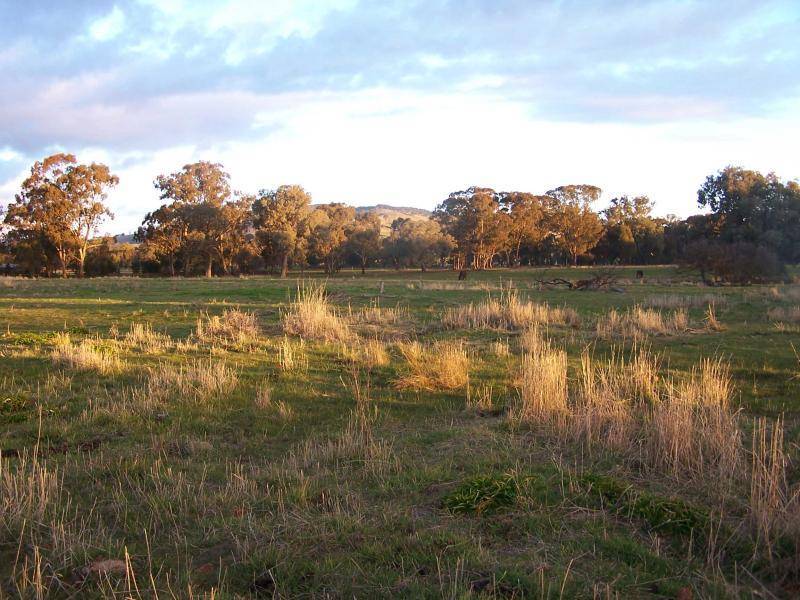 Violet Town VIC 3669