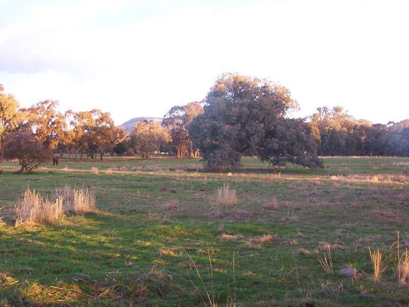 Violet Town VIC 3669