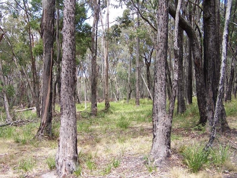 Strathbogie VIC 3666