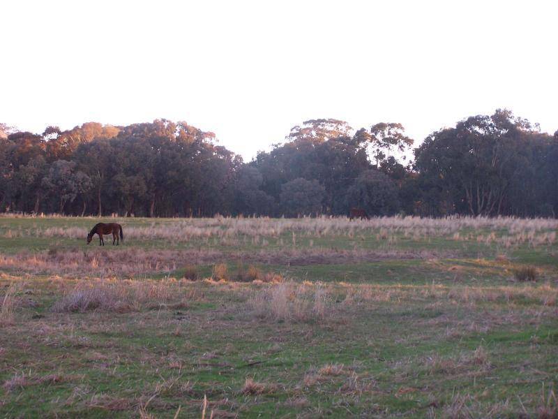 Violet Town VIC 3669