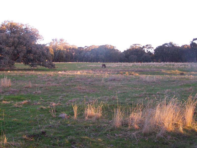 Violet Town VIC 3669