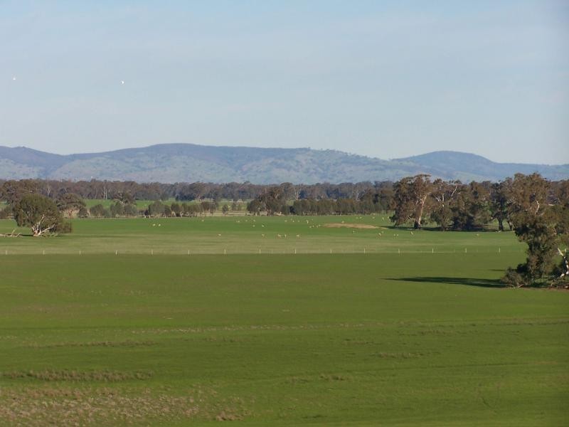 350 Moss Road, Tamleugh North VIC 3669