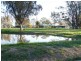 91 Kellys Lane, Violet Town VIC 3669