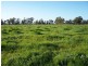 91 Kellys Lane, Violet Town VIC 3669