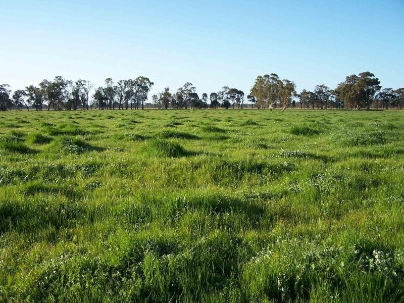91 Kellys Lane, Violet Town VIC 3669