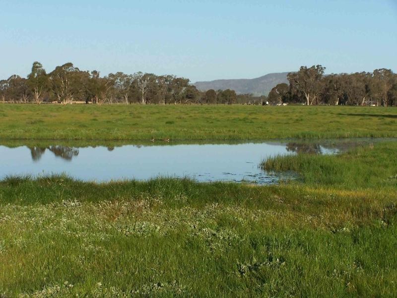 91 Kellys Lane, Violet Town VIC 3669