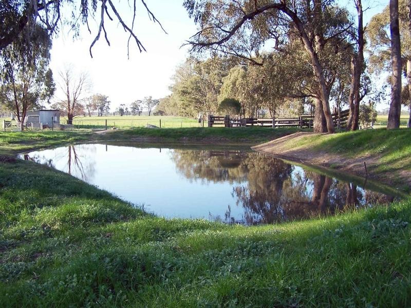 91 Kellys Lane, Violet Town VIC 3669