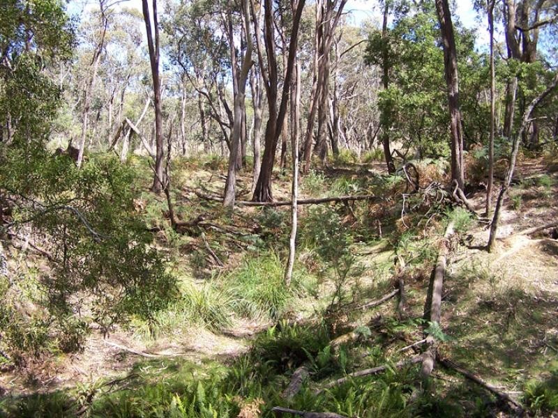 1 Carpenters Lane, Strathbogie VIC 3666