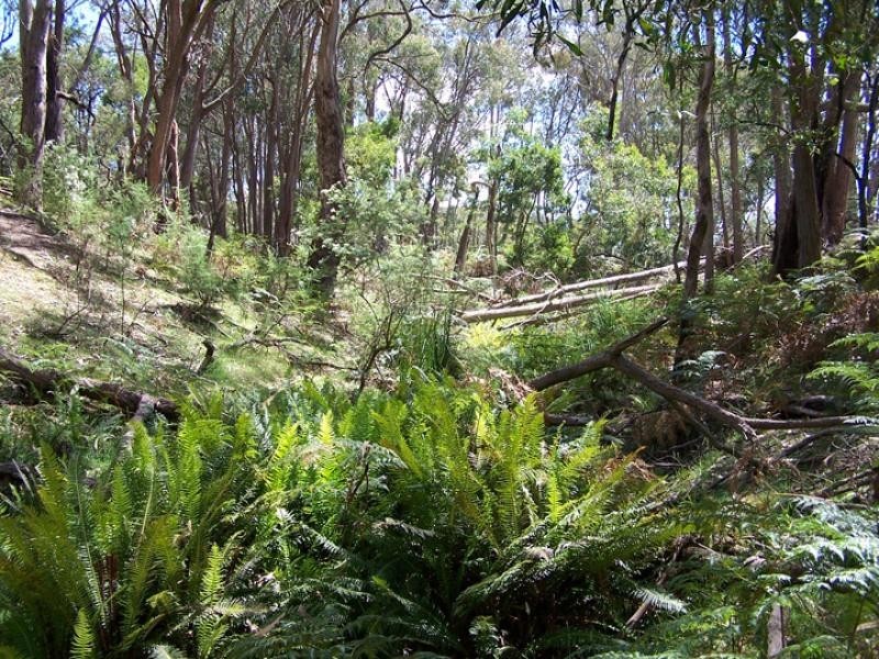 1 Carpenters Lane, Strathbogie VIC 3666