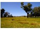 213 Meades Lane, Euroa VIC 3666