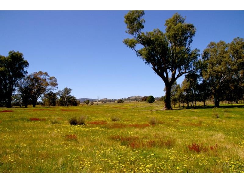 213 Meades Lane, Euroa VIC 3666