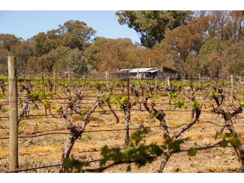 213 Meades Lane, Euroa VIC 3666