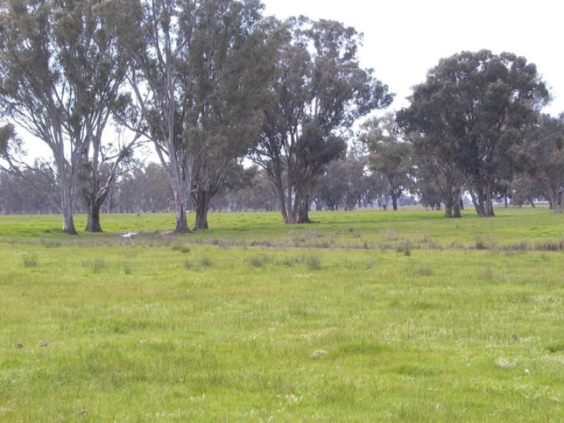 6380 Goulburn Valley Highway, Arcadia VIC 3631