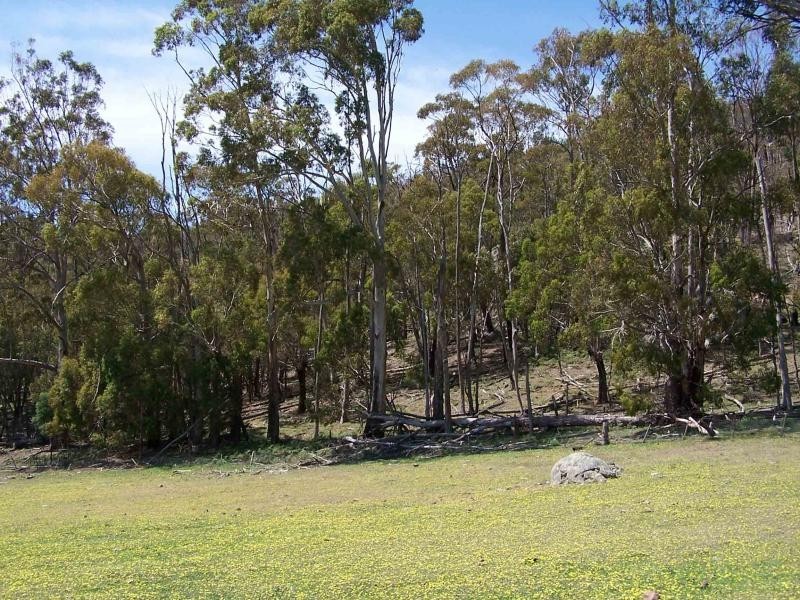 1 skinners track, Ancona VIC 3715