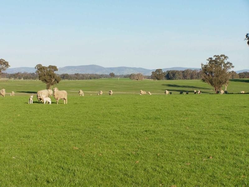 1430 Shepparton – Violet Town Road, Tamleugh North VIC 3669