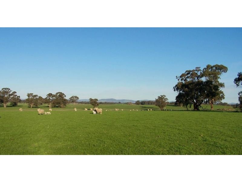 1430 Shepparton – Violet Town Road, Tamleugh North VIC 3669