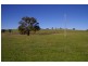 440 Spring Creek road, Strathbogie VIC 3666