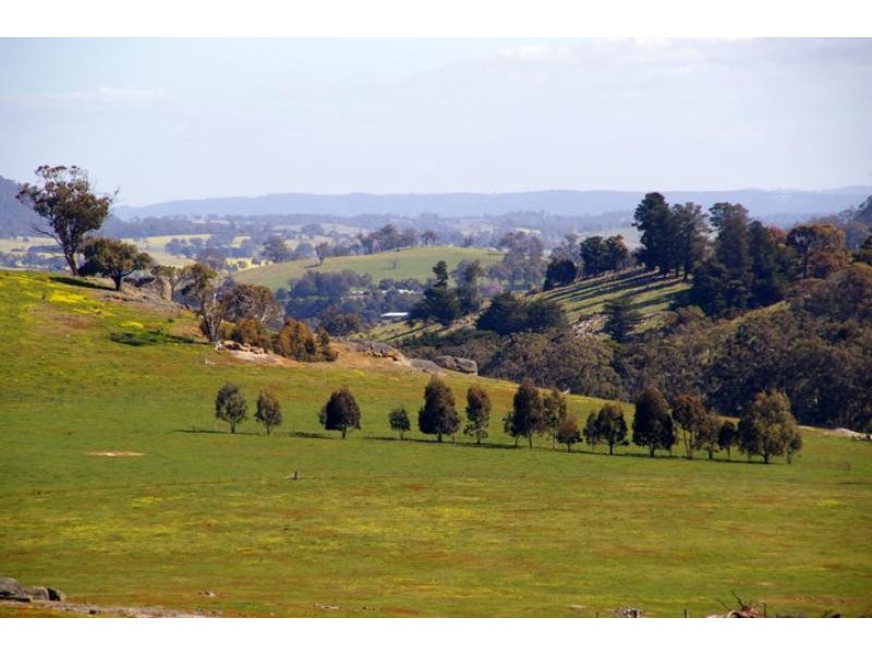 440 Spring Creek road, Strathbogie VIC 3666