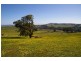 440 Spring Creek road, Strathbogie VIC 3666