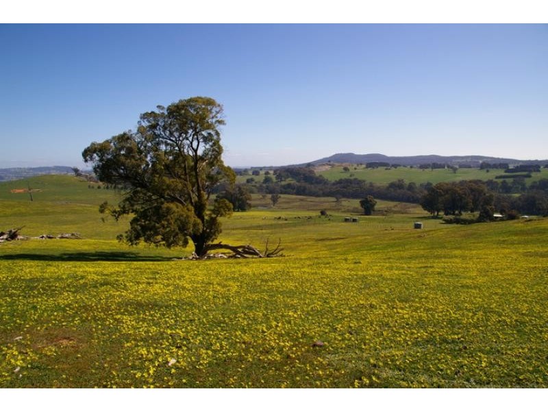 440 Spring Creek road, Strathbogie VIC 3666