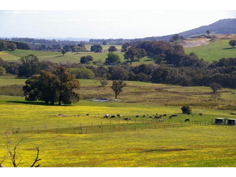 440 Spring Creek road, Strathbogie VIC 3666